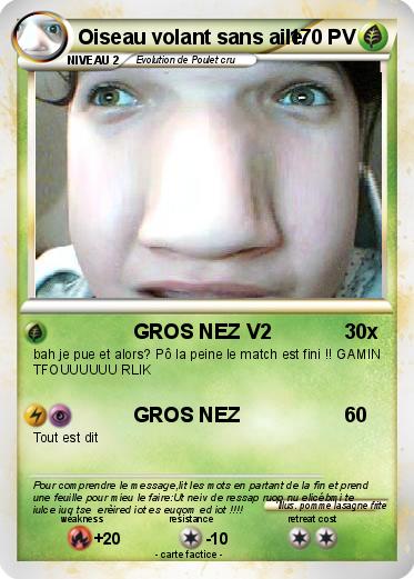 Pokemon Oiseau volant sans aile