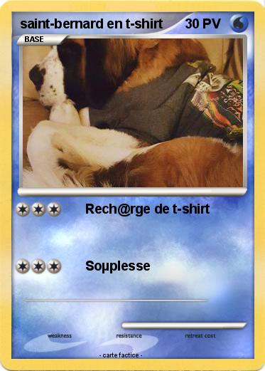 Pokemon saint-bernard en t-shirt
