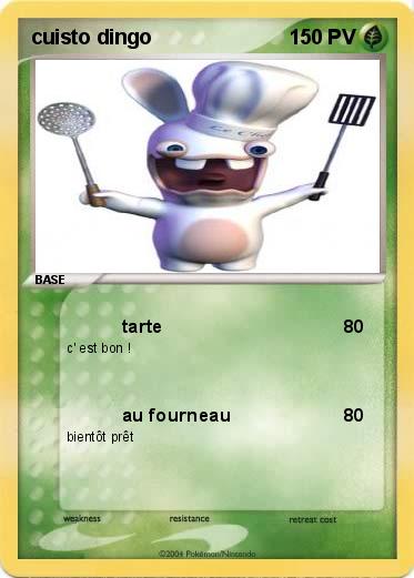 Pokemon cuisto dingo