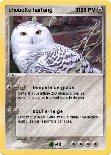 Pokemon chouette harfang               3 