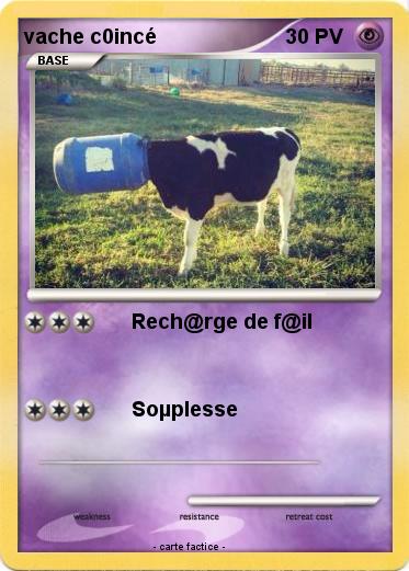 Pokemon vache c0incé