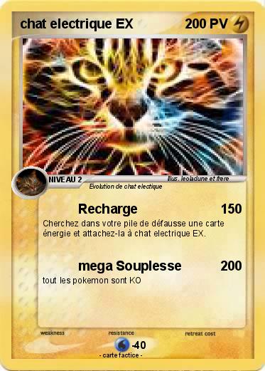Pokemon chat electrique EX