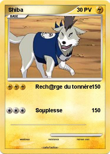 Pokemon Shiba