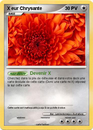 Pokemon X eur Chrysante