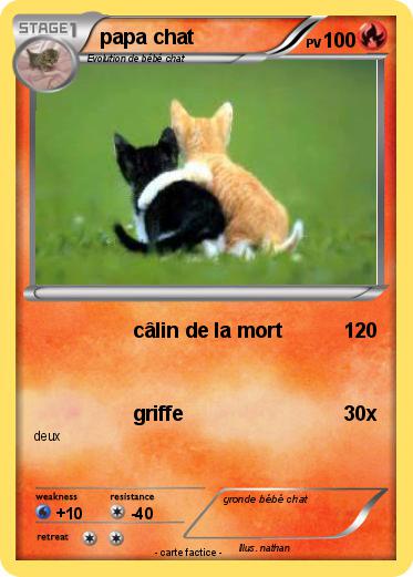 Pokemon papa chat
