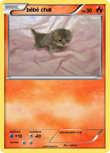 Pokemon bébé chat