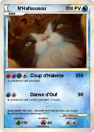 Pokemon N'Hafsousou