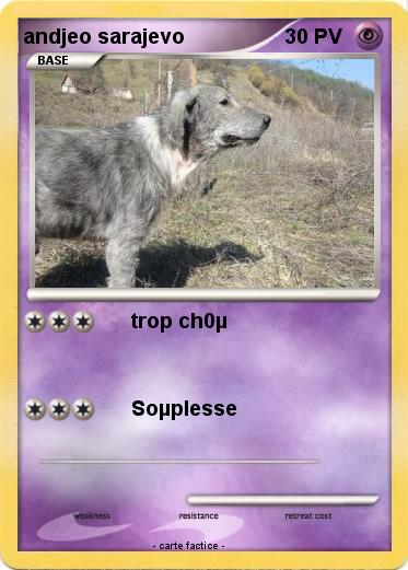 Pokemon andjeo sarajevo