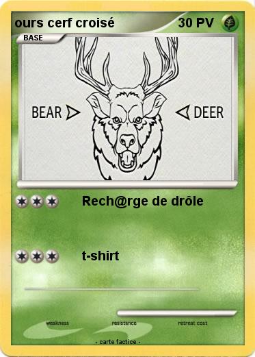 Pokemon ours cerf croisé
