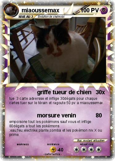 Pokemon miaoussemax