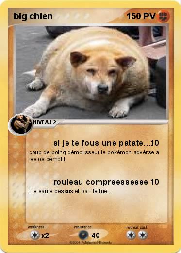 Pokemon big chien