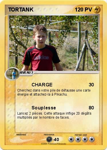 Pokemon TORTANK
