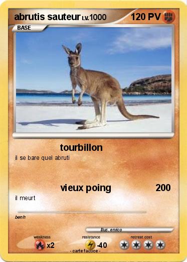 Pokemon abrutis sauteur