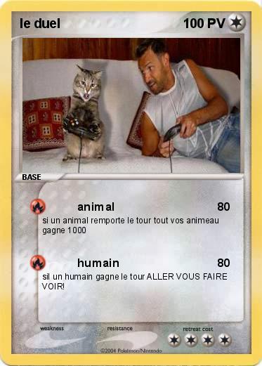 Pokemon le duel