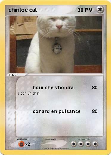Pokemon chintoc cat