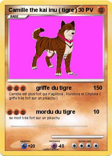 Pokemon Camille the kai inu ( tigre )