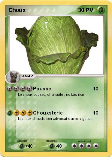 Pokemon Choux