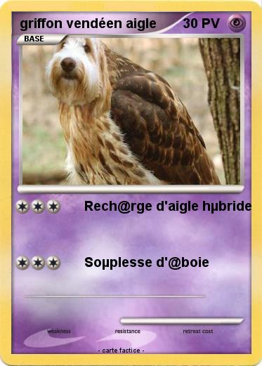 Pokemon griffon vendéen aigle