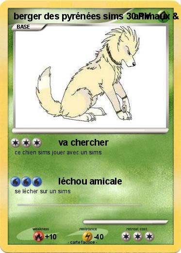 Pokemon berger des pyrénées sims 3 animaux & cie