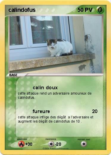Pokemon calindofus