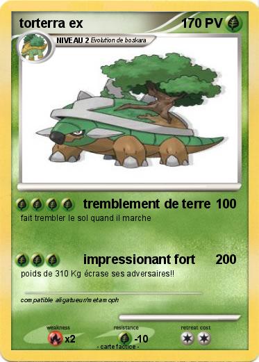 Pokemon torterra ex