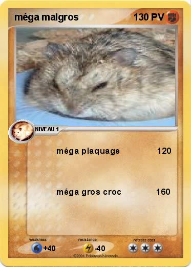 Pokemon méga malgros