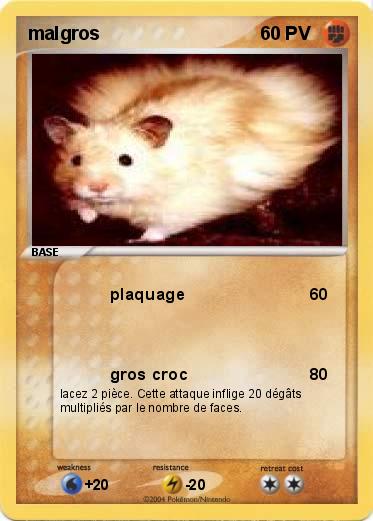 Pokemon malgros