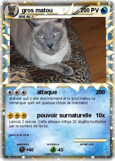 Pokemon gros matou