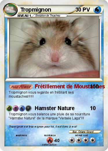 Pokemon Tropmignon
