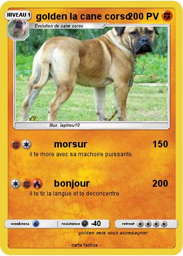 Pokemon golden la cane corso