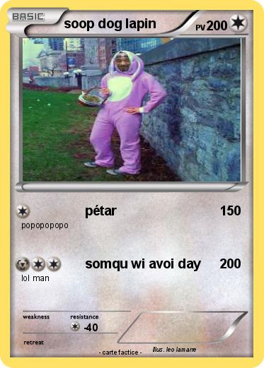 Pokemon soop dog lapin