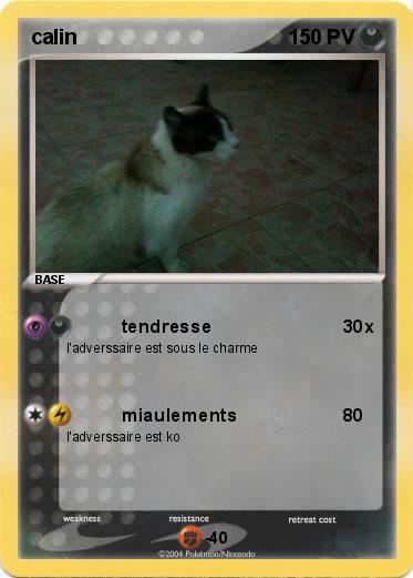 Pokemon calin