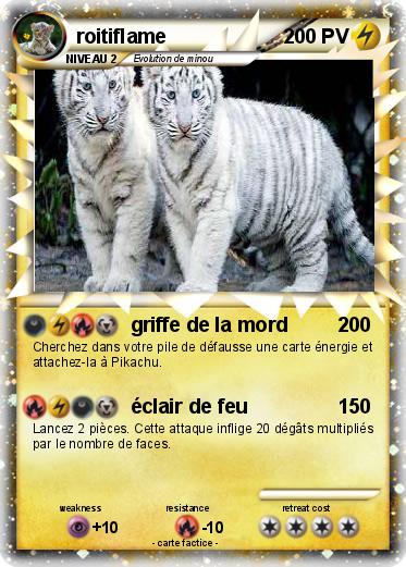 Pokemon roitiflame