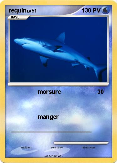 Pokemon requin