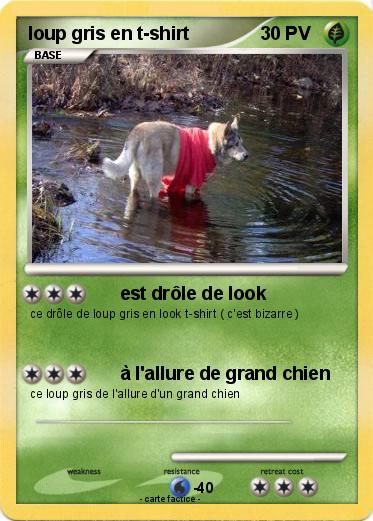 Pokemon loup gris en t-shirt