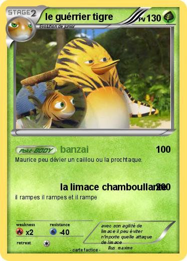 Pokemon le guérrier tigre