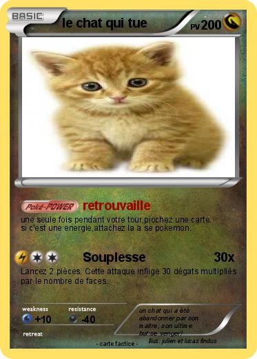 Pokemon le chat qui tue