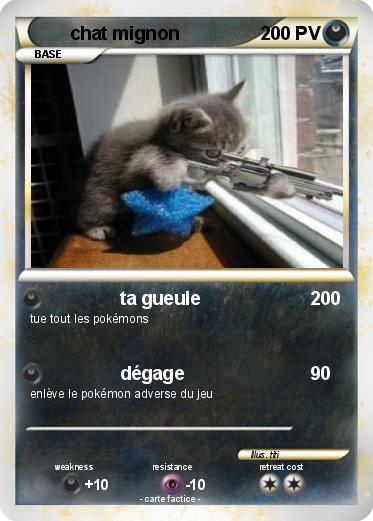 Pokemon chat mignon