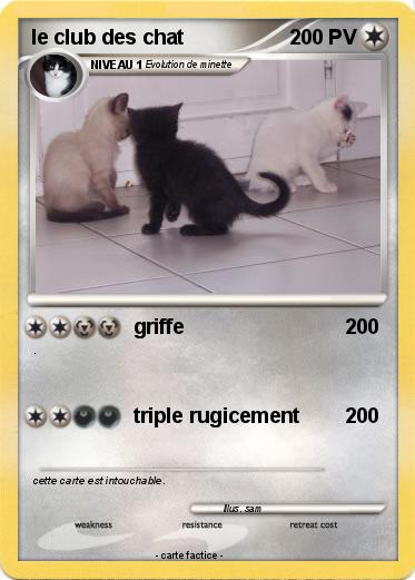Pokemon le club des chat