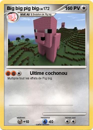 Pokemon Big big pig big