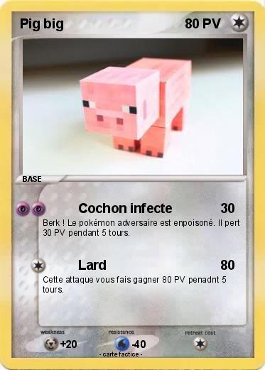 Pokemon Pig big