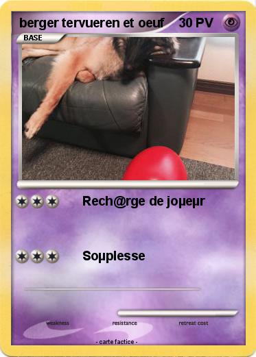 Pokemon berger tervueren et oeuf