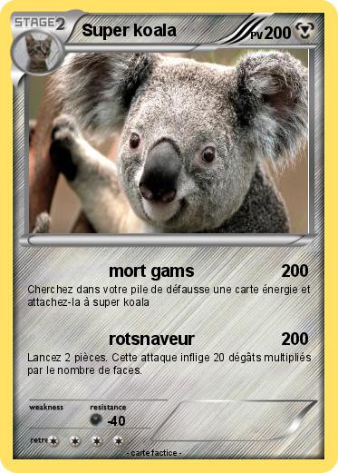 Pokemon Super koala