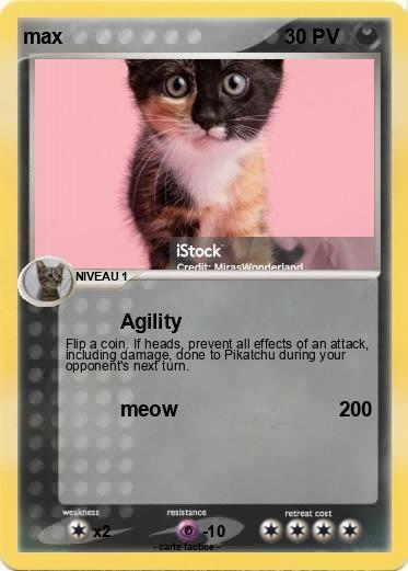 Pokemon max