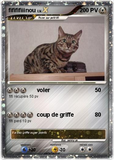 Pokemon fifififiiinou