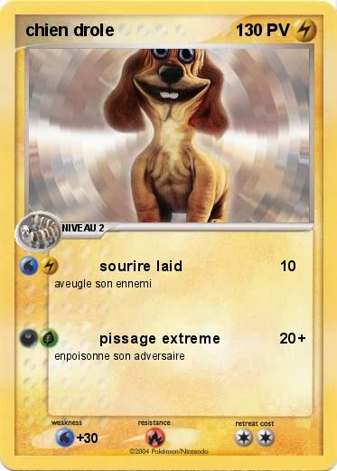 Pokemon chien drole