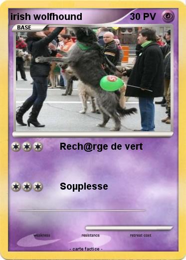 Pokemon irish wolfhound