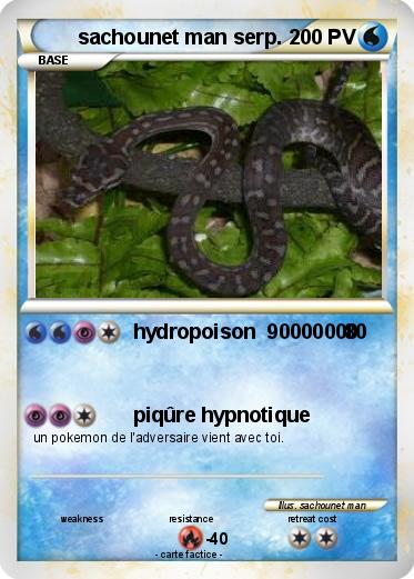 Pokemon sachounet man serp.