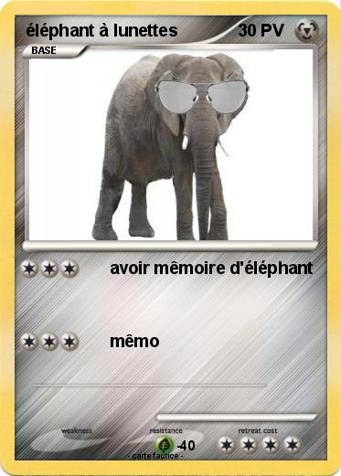 Pokemon éléphant à lunettes
