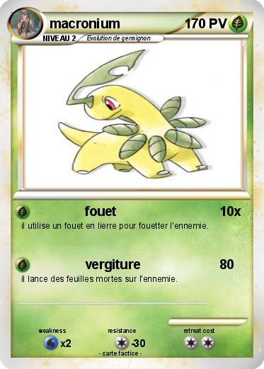 Pokemon macronium